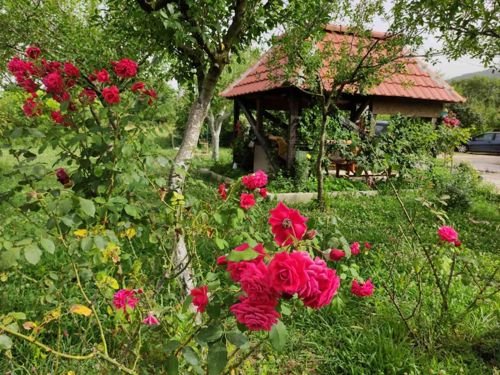Green Valley Котор Экстерьер фото